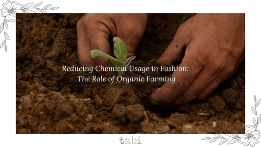 Reducing Chemical Usage in Fashion: The Role of Organic Farming