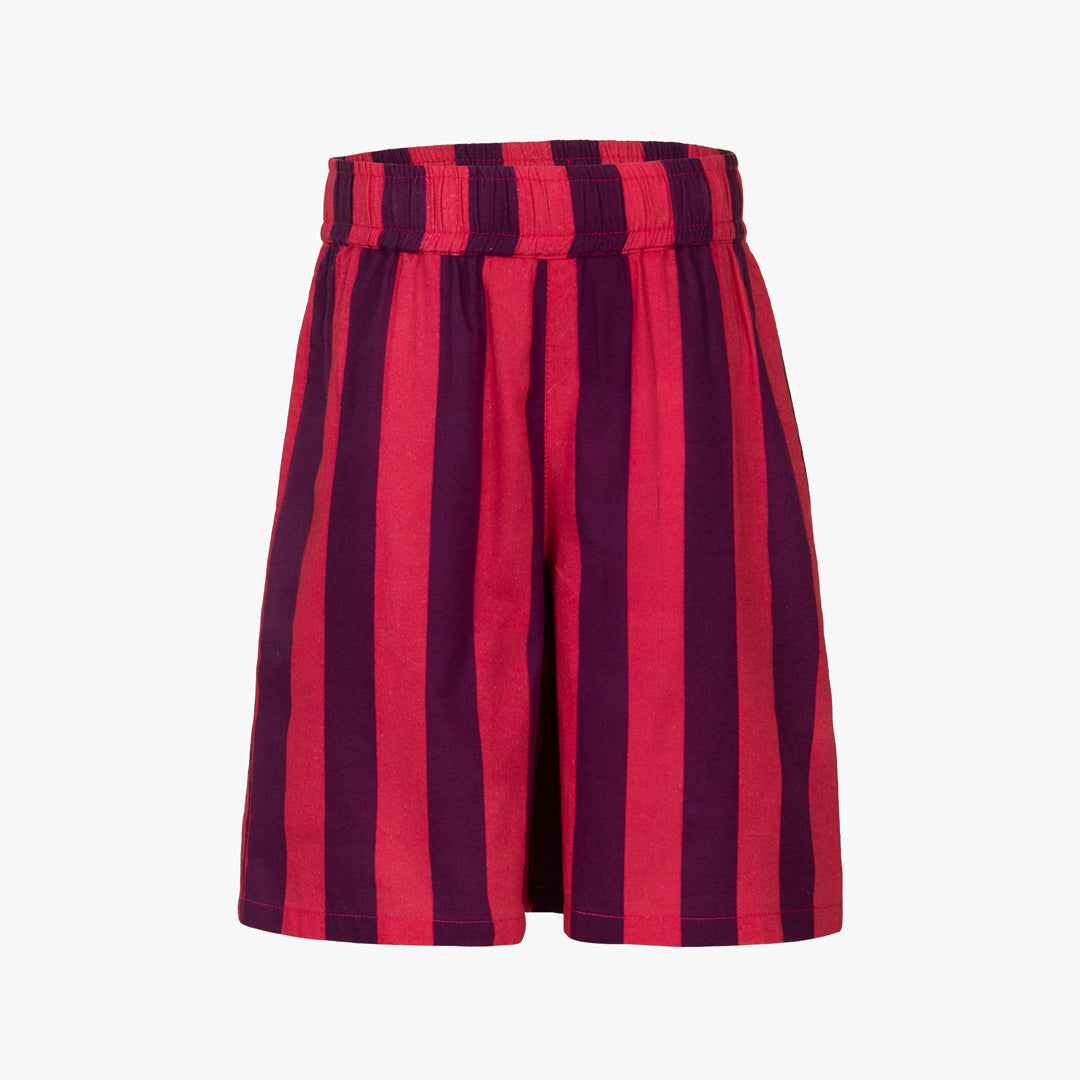 Safar Stripe Shorts