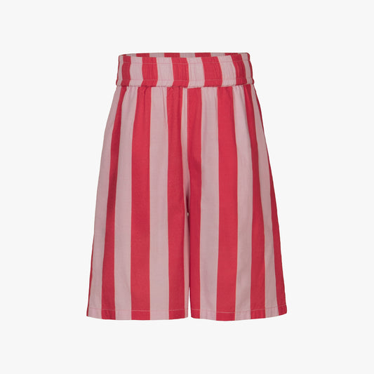 Samar Stripe Shorts