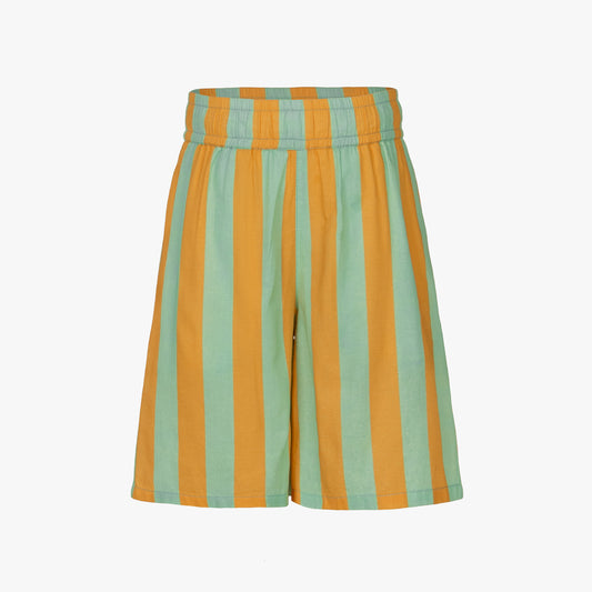 Moksh Stripe Shorts