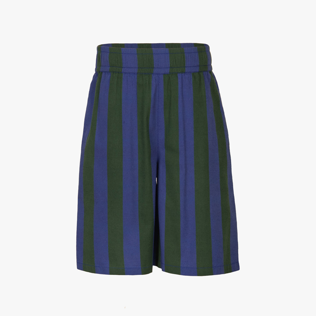 Sahaj Stripe Shorts