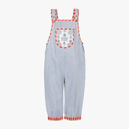 Palash Stripes Dungaree
