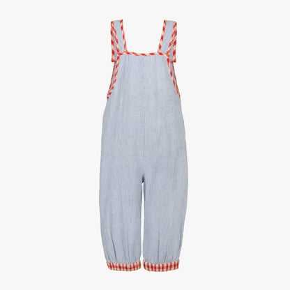 Palash Stripes Dungaree