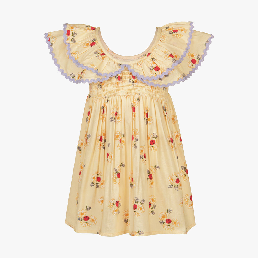 Banno Floral Smocked Dress