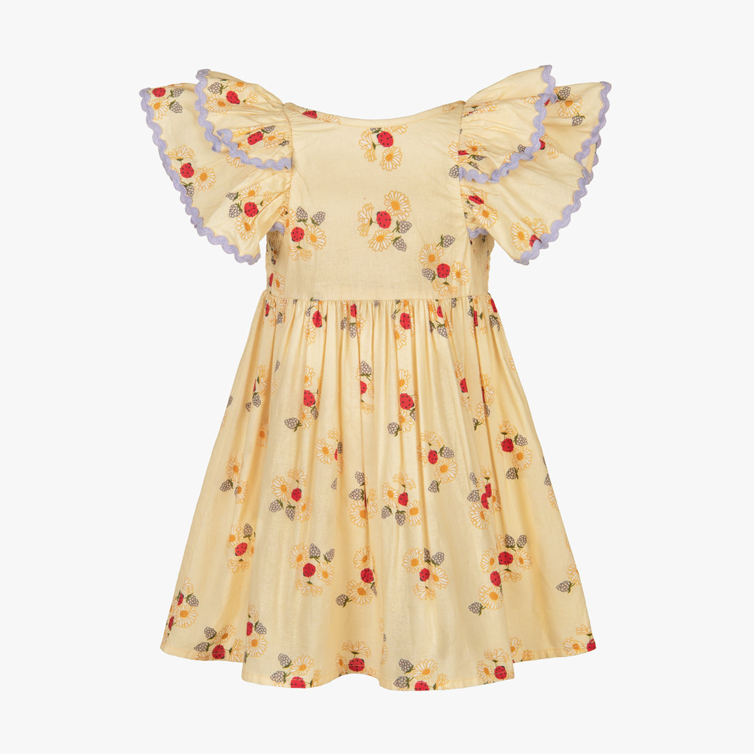Banno Floral Smocked Dress