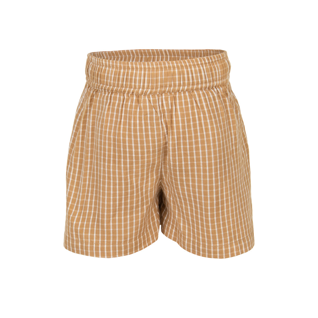 Brown checkered shorts on a white background